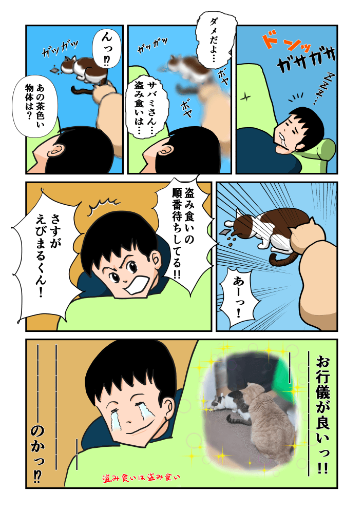 ドンッガサガサ
ダメだよ…サバミさん…盗み食いは…