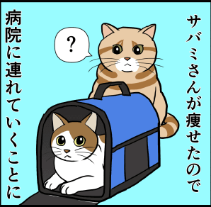 サバミさんが痩せたので病院に連れていくことに