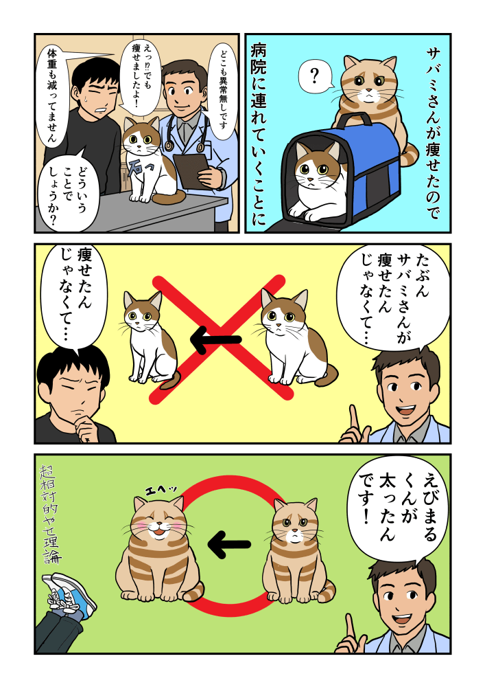サバミさんが痩せたので病院に連れていくことに