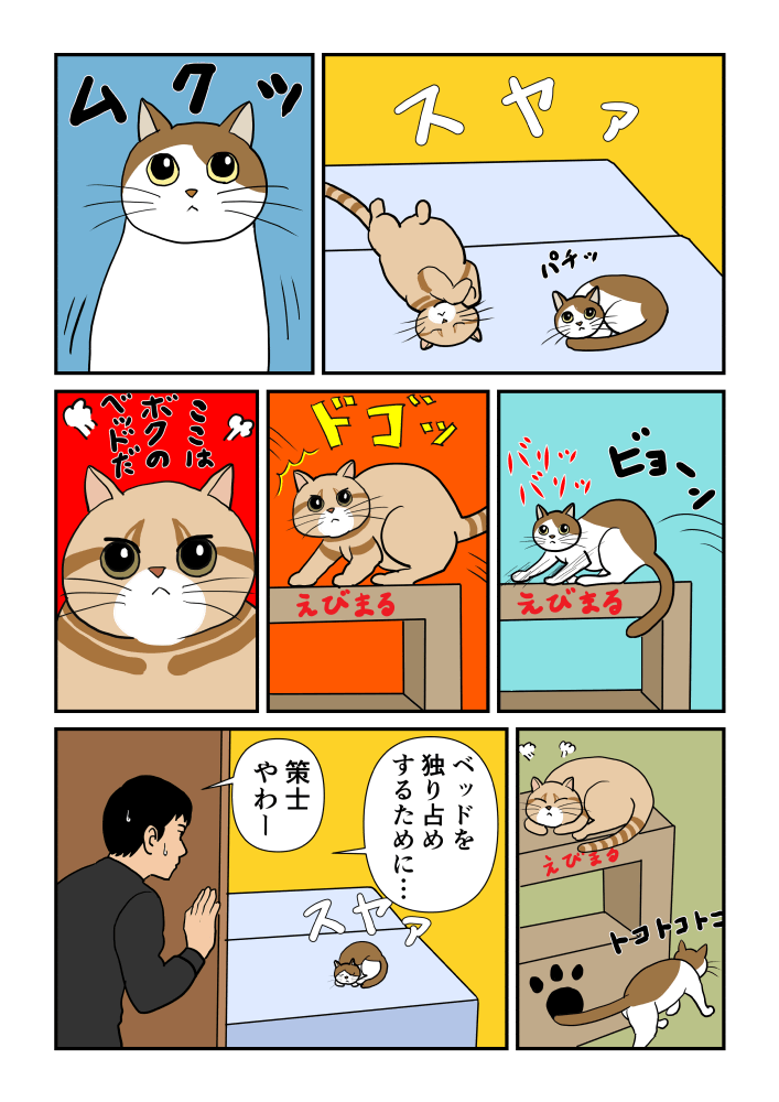 サバミさんのおとり大作戦