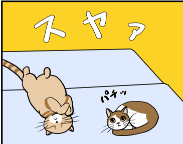 サバミさんのおとり大作戦